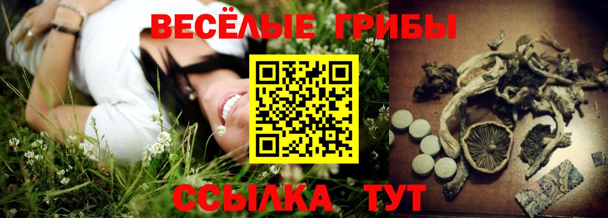 Псилоцибиновые грибы прущие грибы  Псилоцибиновые грибы GOLDEN TEACHER  Вход с VPN  Новоуральск 
